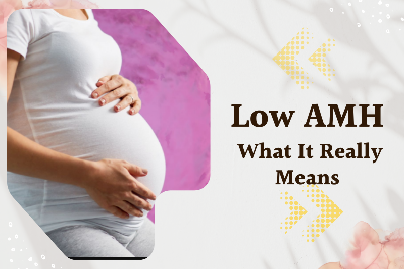 Low AMH What It Really Means