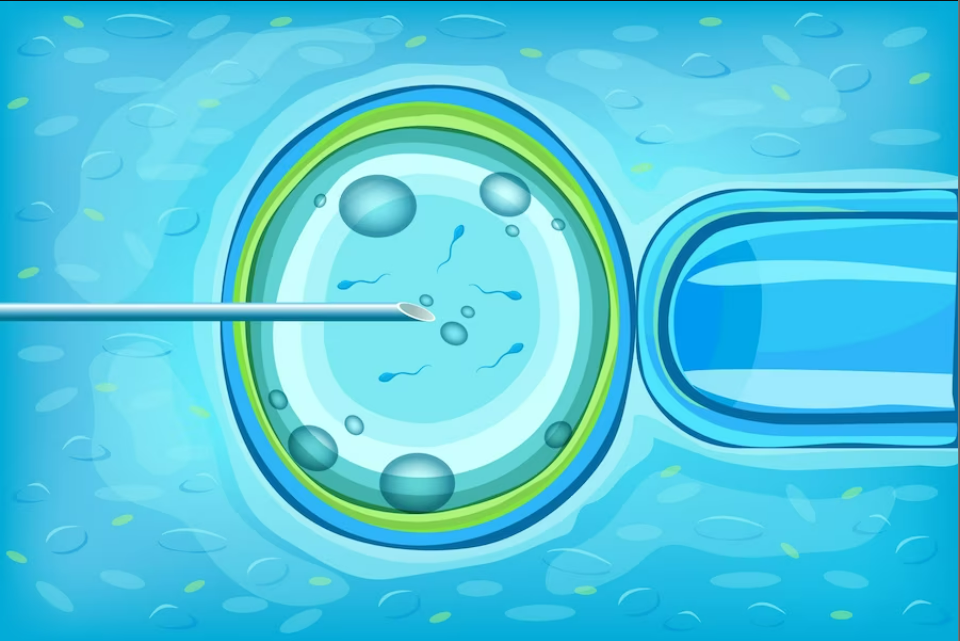 Best Frozen Embryo Transfer Center In Nagpur