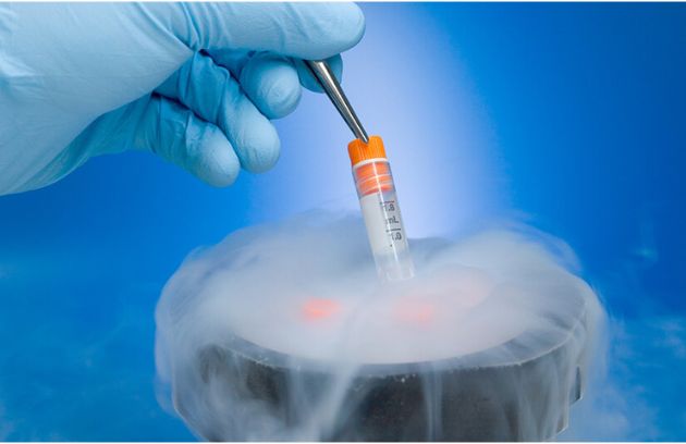 Embryo Freezing Center In Nagpur