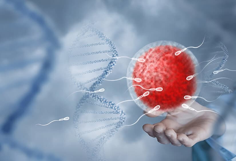 Sperm Motility Treatment Specialist In Nagpur